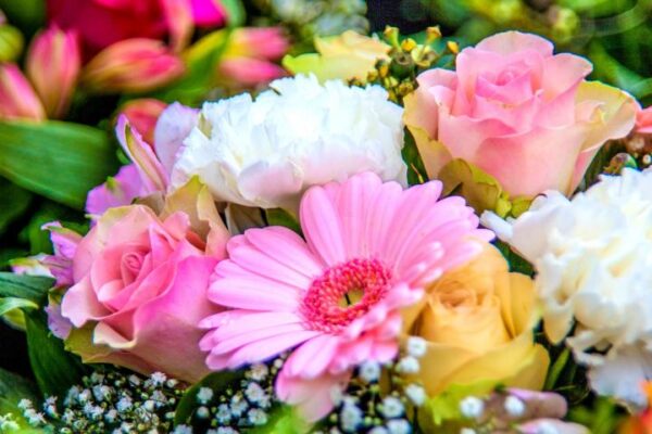 birth month flowers primary 1920x1280px pixabay