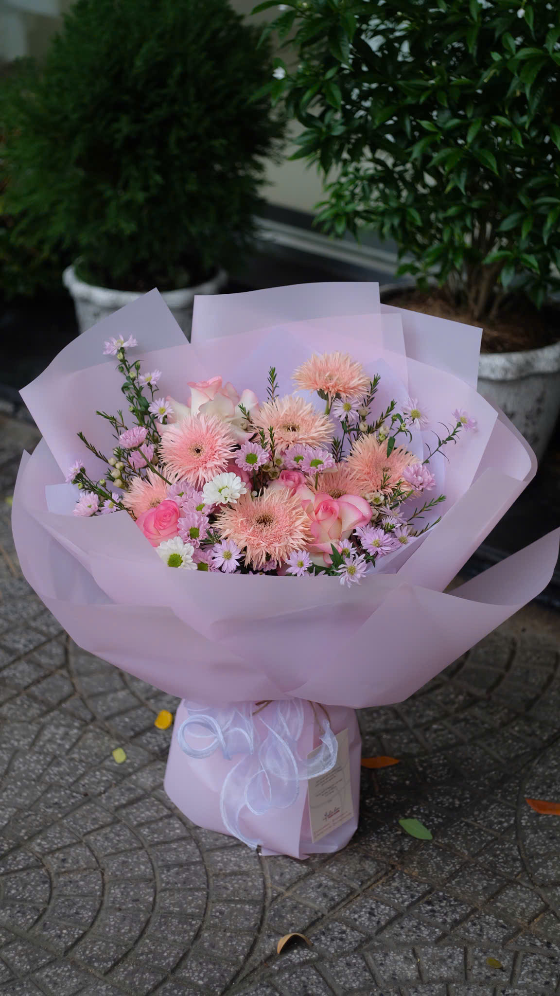 BÓ HOA ĐÒNG TIỀN KIM - BH50
