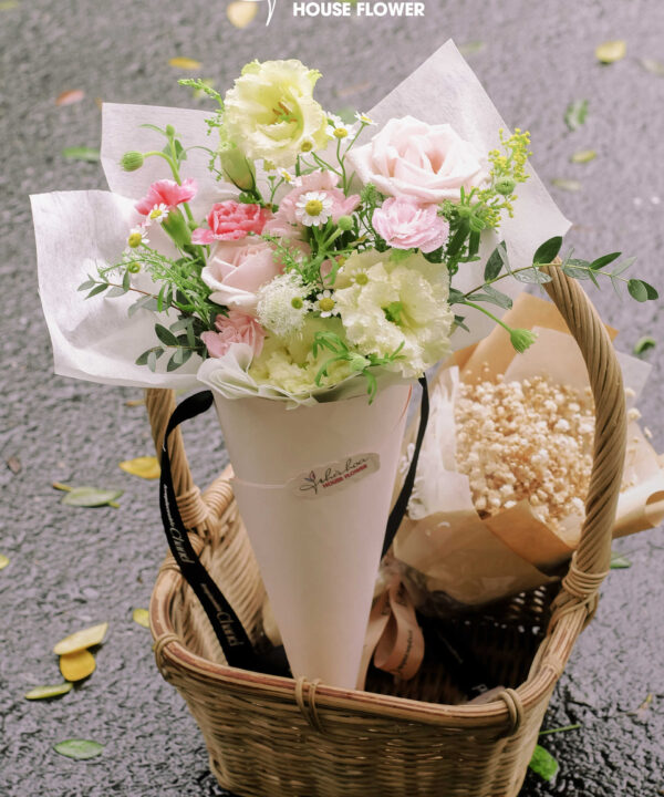 bó ốc quế