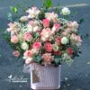 LẴNG HOA HỒNG HỶ TRỨNG MIX BABY