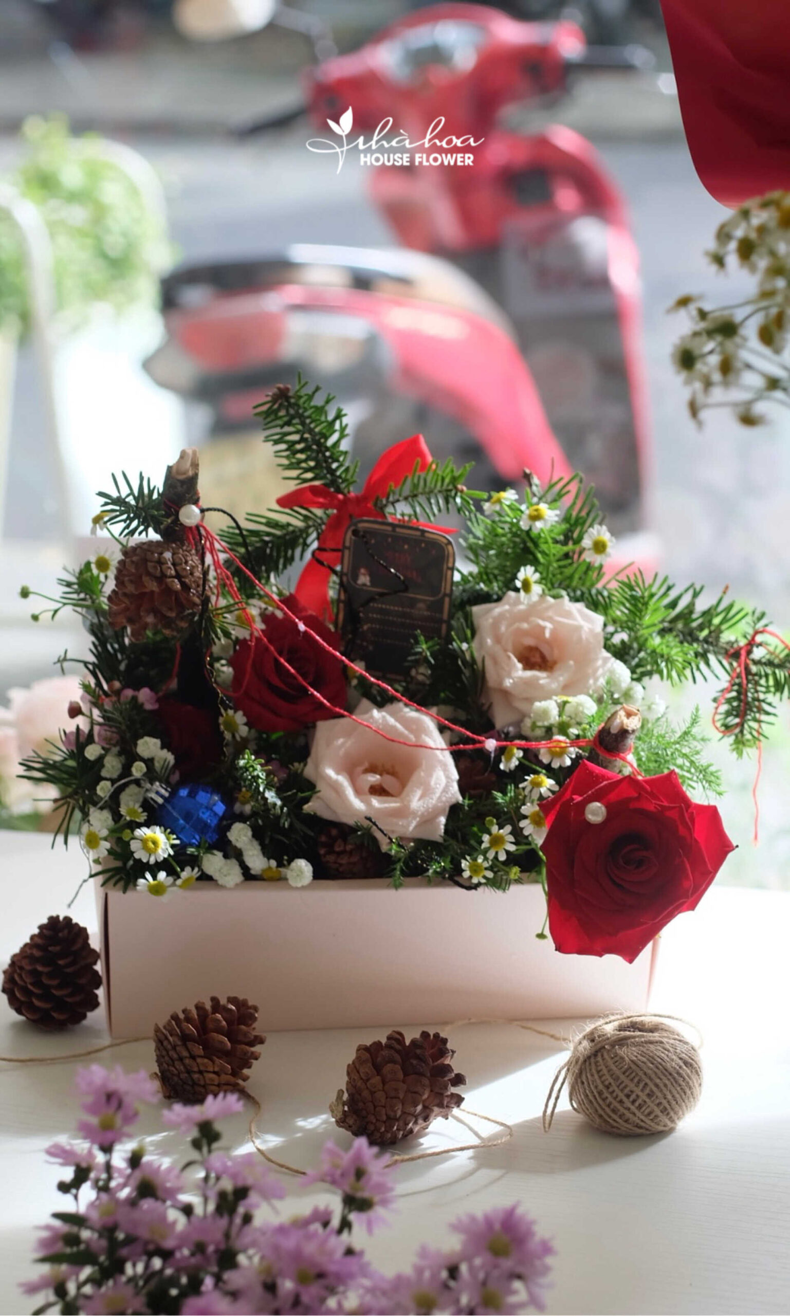 THE SEASON OF DANCING RED RIBBONS