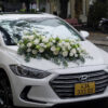 Ff854bd1-69df-4b76-9410-58cc44ebdfc3-1005-00000016cf0ac815